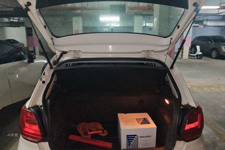Volkswagen Polo 2015 car image #21