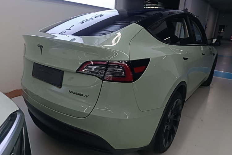 Tesla Model Y 2021 car image #7