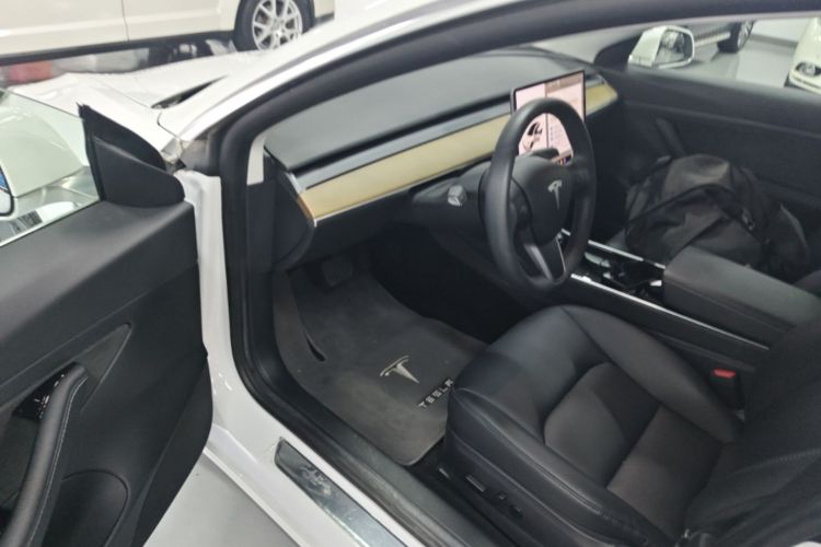 Tesla Model 3 2020 #16 Tesla Model 3 2020 car image #16