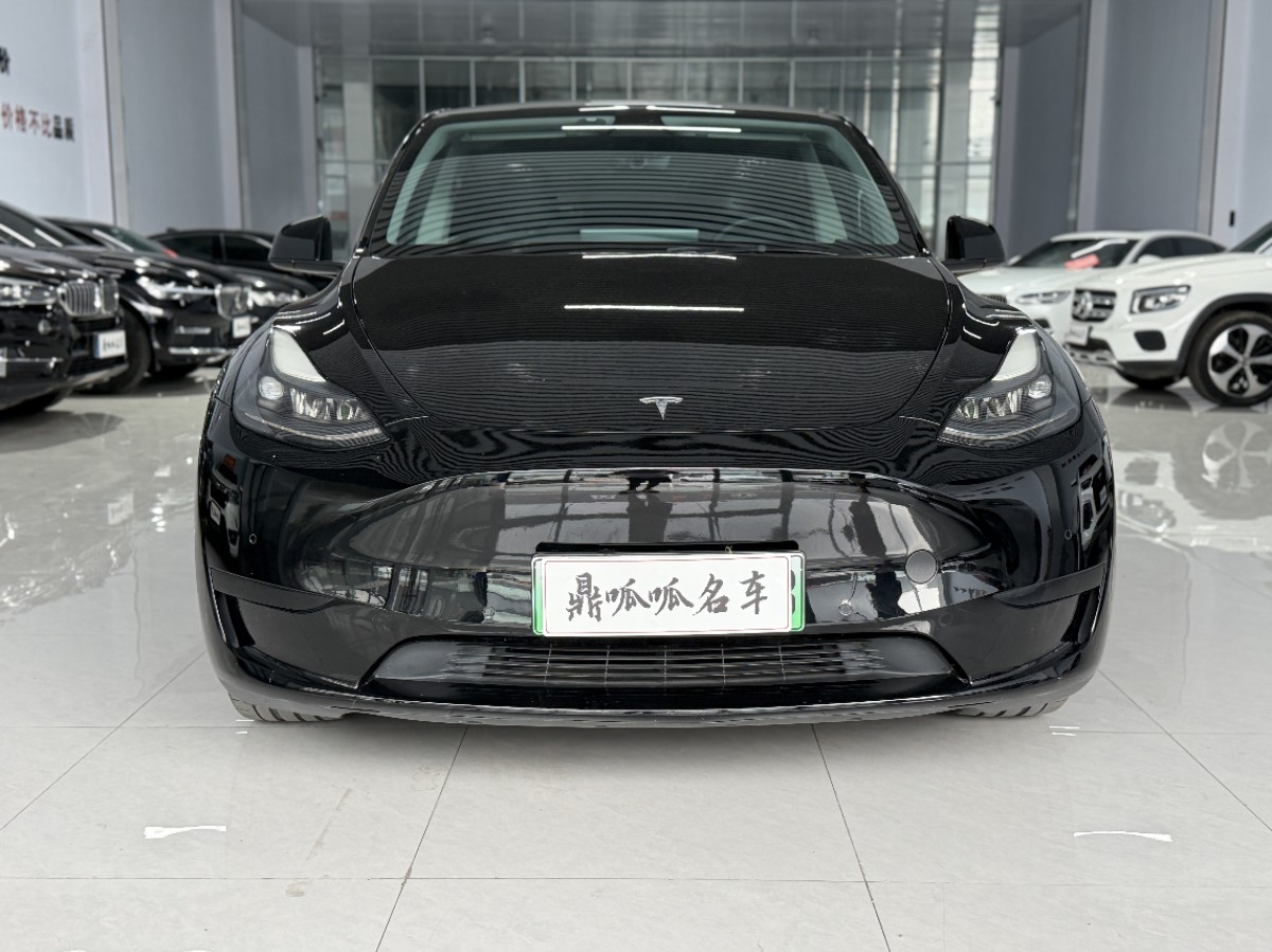 Tesla Model Y 2024 car image #2