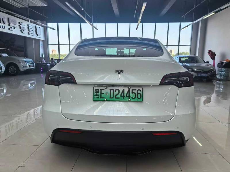 Tesla Model Y 2021 car image #5