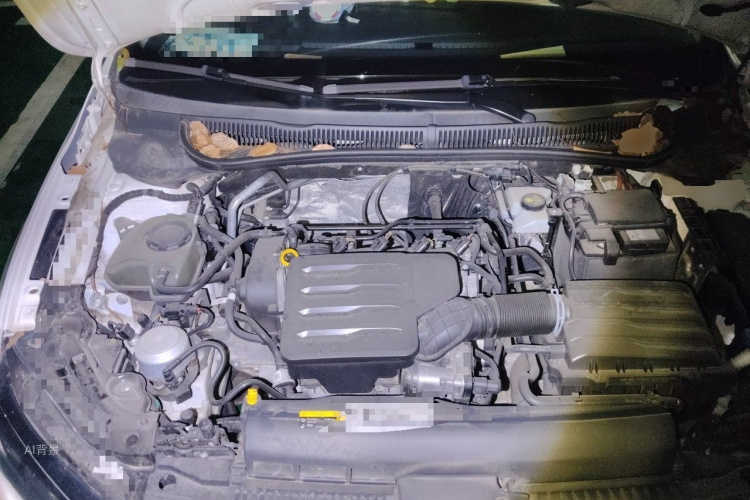 Volkswagen Polo 2019 car image #22