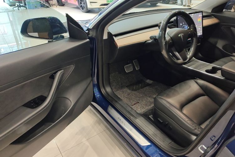 Tesla Model 3 2020 car image #12