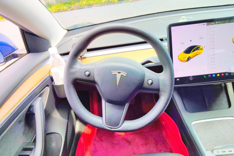 Tesla Model 3 2021 #11 Tesla Model 3 2021 immagine di auto #11