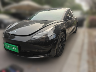 Tesla Model 3 2022 Tesla Model 3 2022 car image
