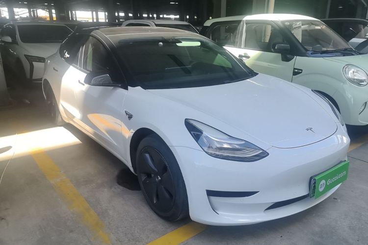 Tesla Model 3 2020 #4 Tesla Model 3 2020 car image #4