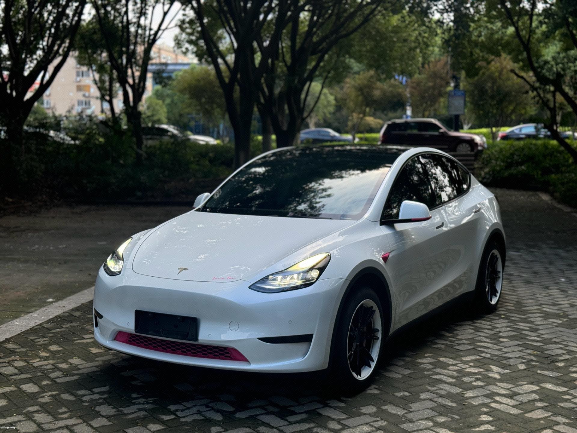 Tesla Model Y 2023 Tesla Model Y 2023 car image