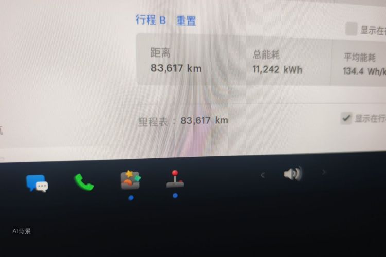 Tesla Model Y 2025 car image #14