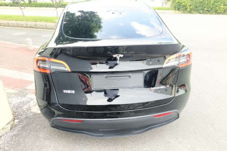 Tesla Model Y 2021 car image #4