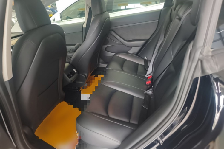 Tesla Model 3 2021 car image #17