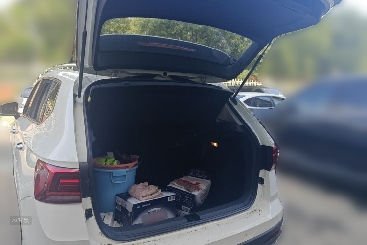 Volkswagen Tharu 2019 car image #21