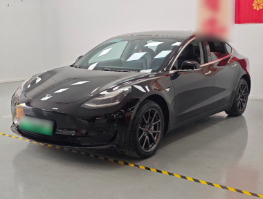 Tesla Model 3 2020 Tesla Model 3 2020 car image