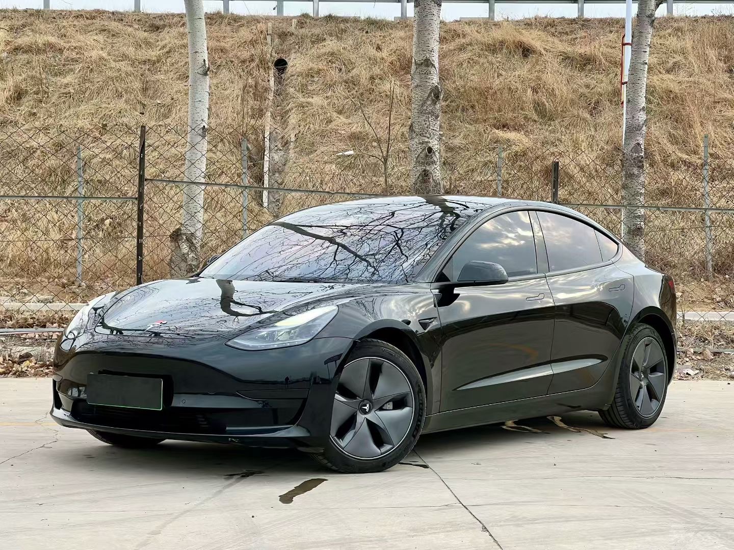 Tesla Model 3 2022 Tesla Model 3 2022 car image