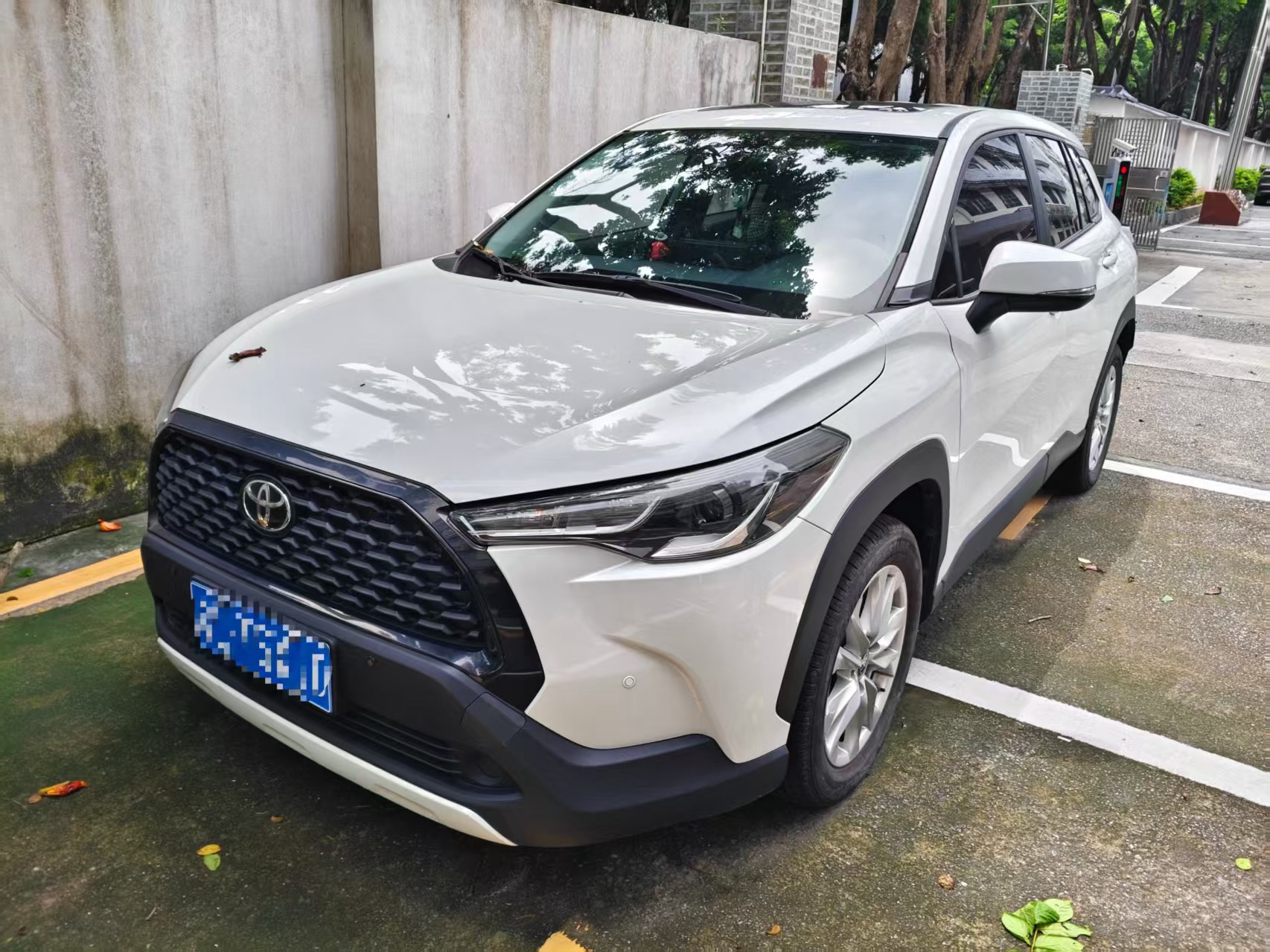 Toyota Corolla Cross 2023 car image 