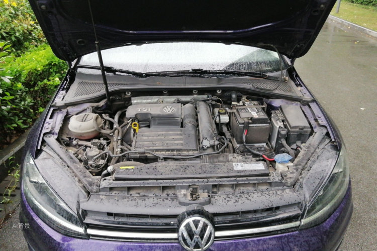 Volkswagen Golf 2019 car image #22