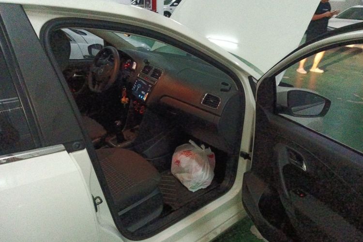 Volkswagen Polo 2015 car image #23