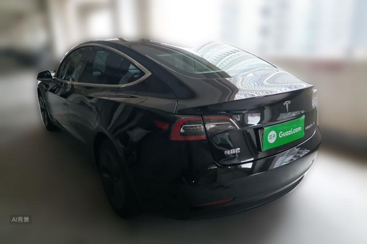 Tesla Model 3 2020 car image #5