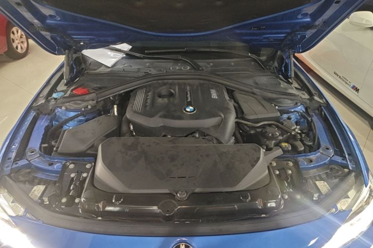 BMW 3 Series 2017 car image #20