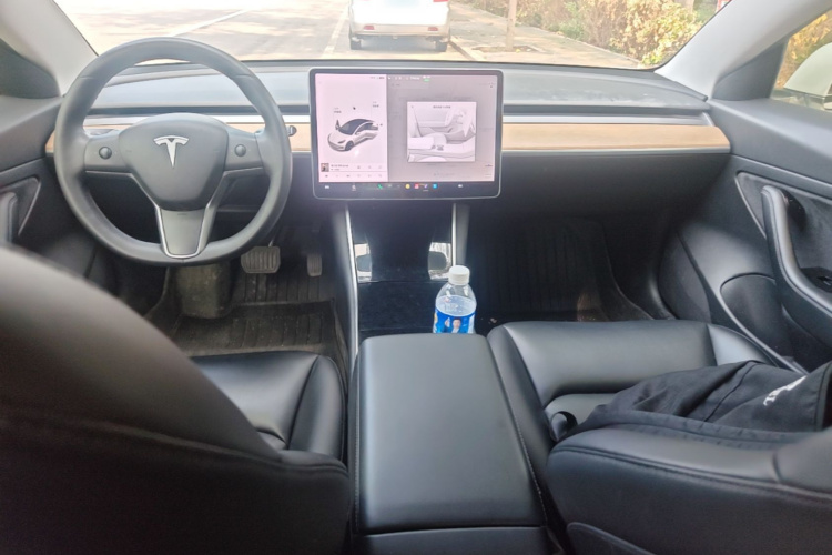 Tesla Model 3 2020 car image #10