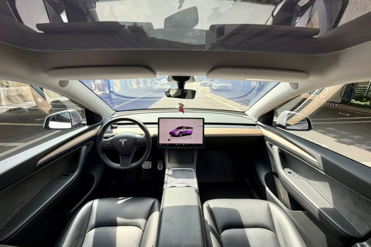 Tesla Model Y 2022 car image #14