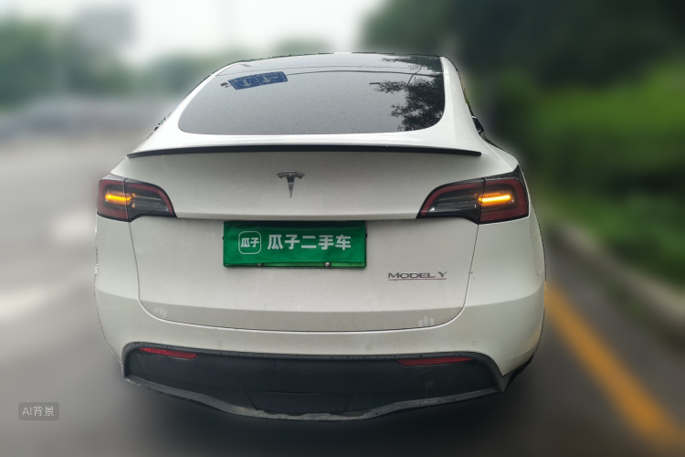 Tesla Model Y 2022 car image #6