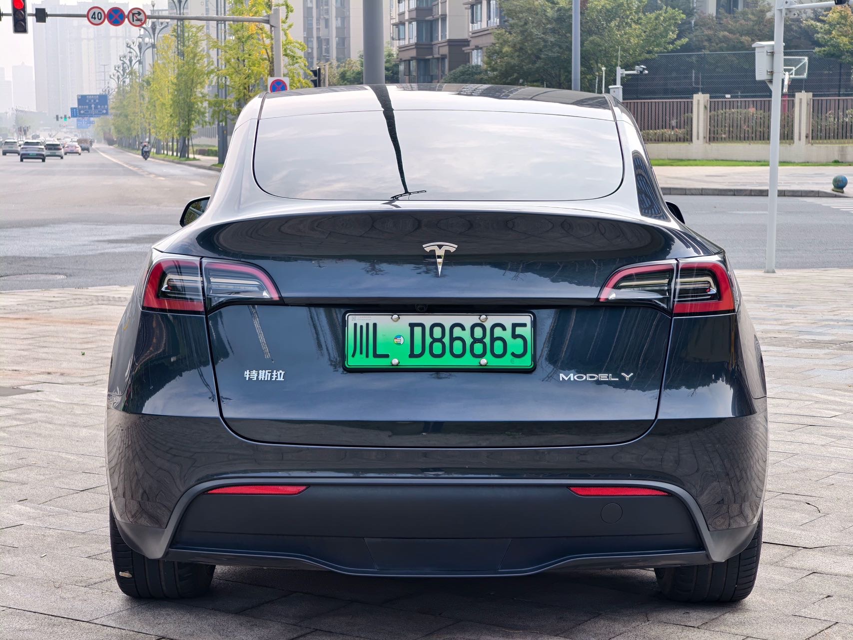 Tesla Model Y 2024 #6 Tesla Model Y 2024 صورة سيارة #6