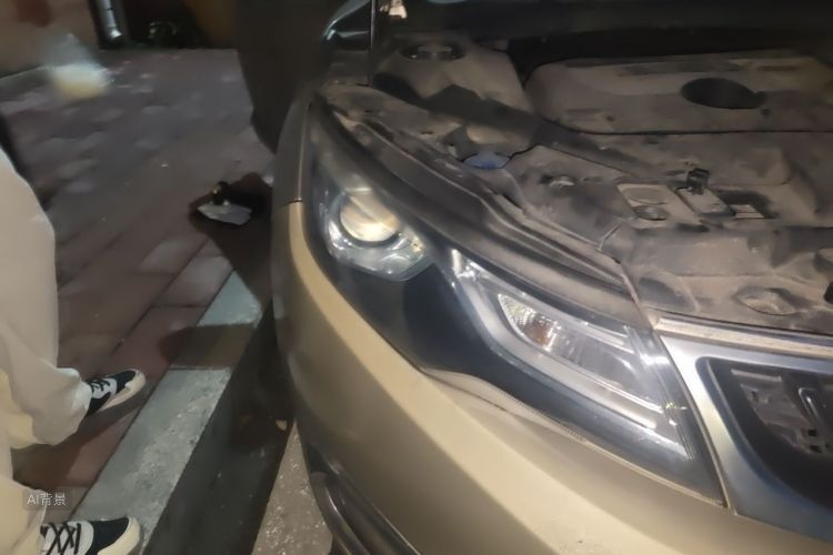GEELY Emgrand GL 2017 car image #8
