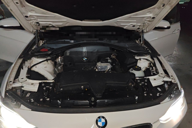 BMW 3 Series 2014 car image #18