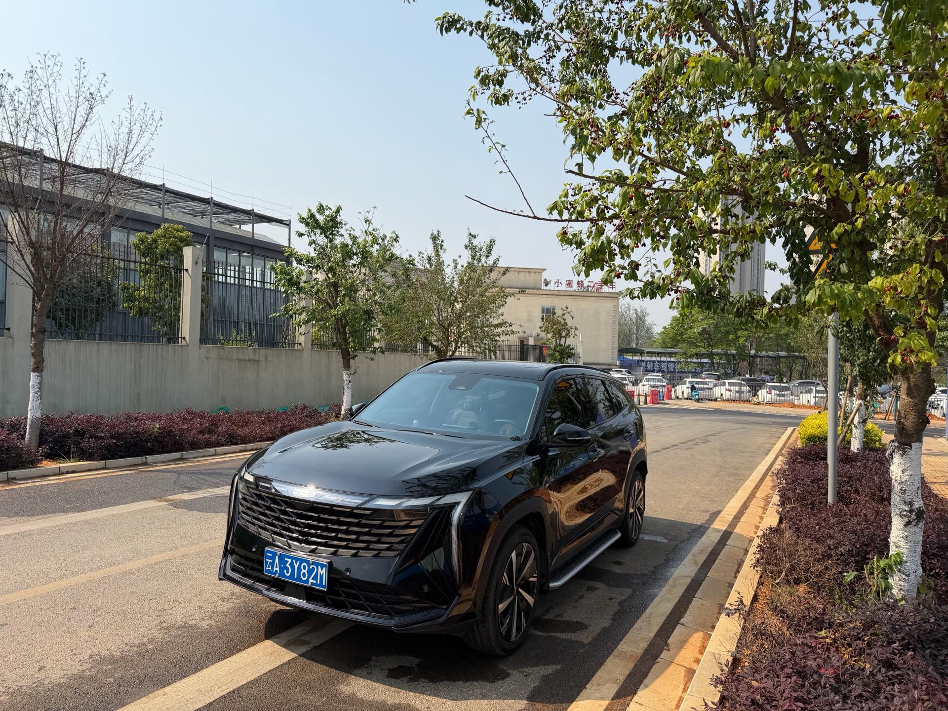 GEELY Boyue L 2023 汽车图片 
