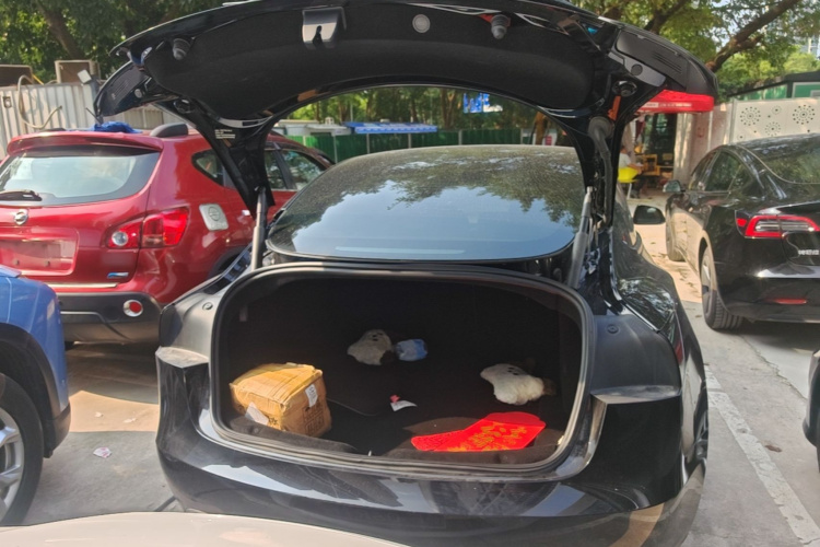 Tesla Model 3 2024 #19 Tesla Model 3 2024 car image #19