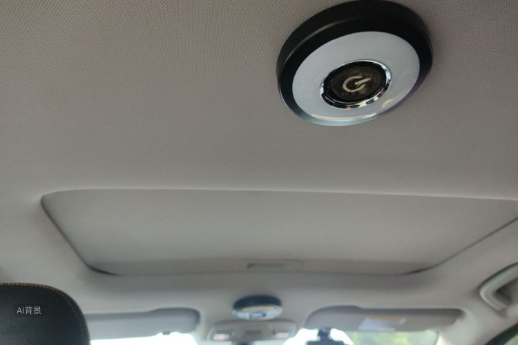 Livan X3 PRO 2022 #20 Livan X3 PRO 2022 immagine di auto #20