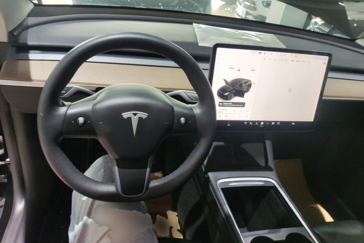 Tesla Model Y 2021 car image #10