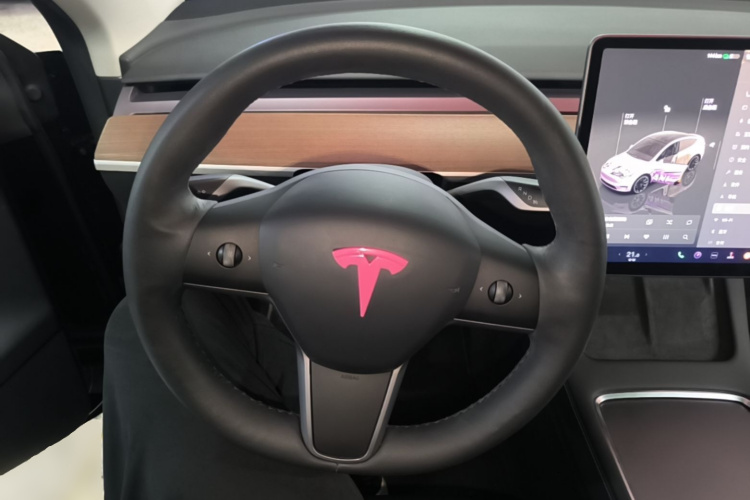 Tesla Model Y 2022 car image #15