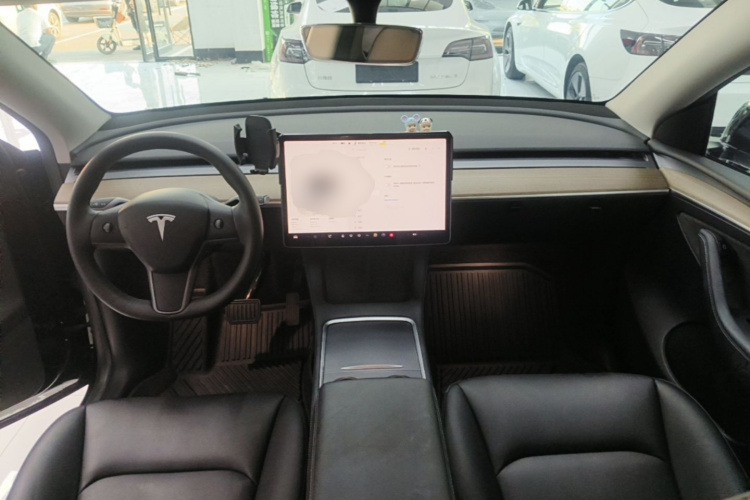 Tesla Model Y 2022 car image #10