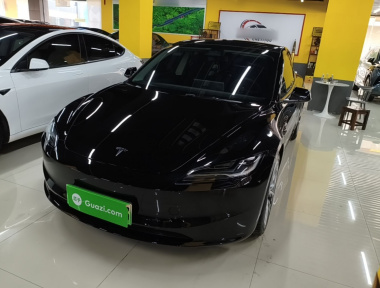 Tesla Model 3 2023 Tesla Model 3 2023 car image