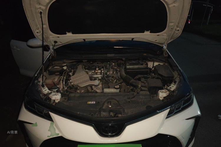 Toyota Corolla 2019 #22 Toyota Corolla 2019 car image #22