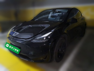 Tesla Model Y 2024 car image 