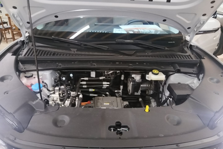 BYD YuanUP 2025 car image #20