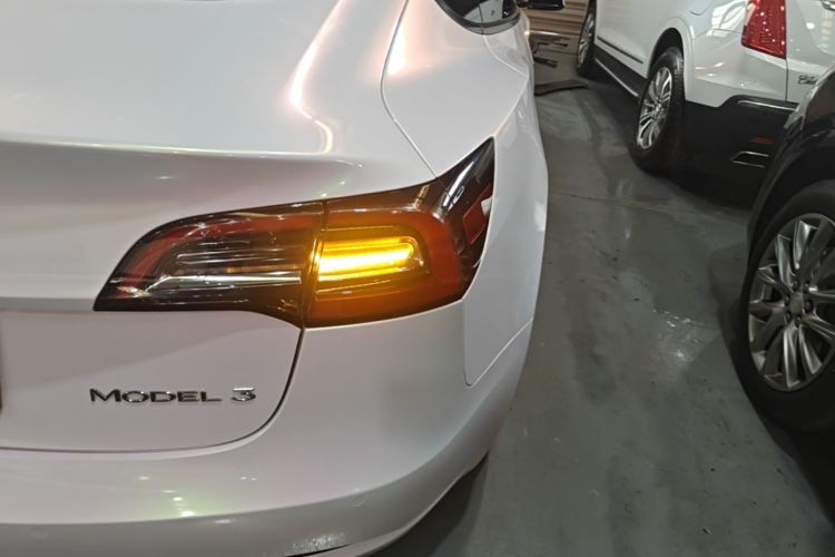 Tesla Model 3 2023 #8 Tesla Model 3 2023 car image #8
