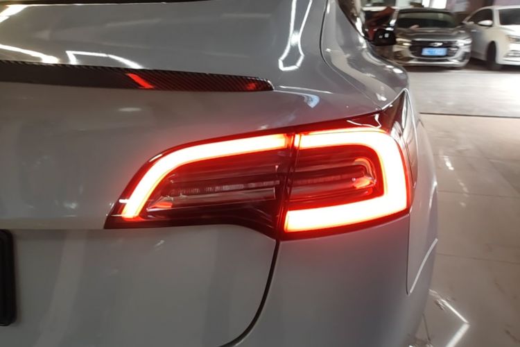 Tesla Model 3 2020 #8 Tesla Model 3 2020 car image #8
