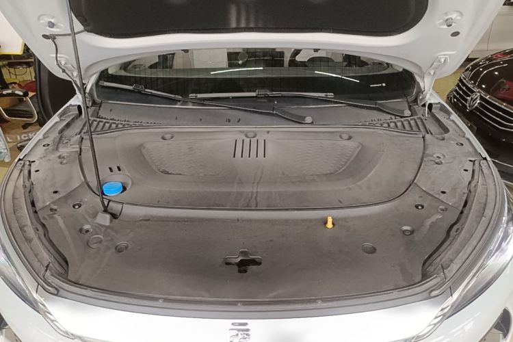 BYD Yuan Plus 2025 car image #22