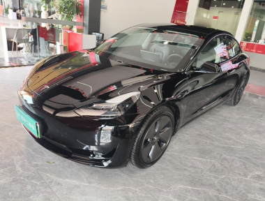 Tesla Model 3 2021 car image 