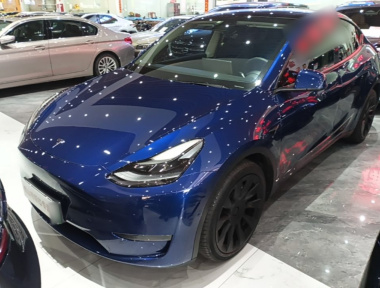 Tesla Model Y 2021 Tesla Model Y 2021 car image