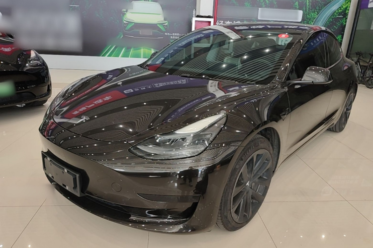 Tesla Model 3 2023 #2 Tesla Model 3 2023 car image #2