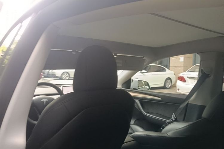 Tesla Model Y 2021 #20 Tesla Model Y 2021 car image #20