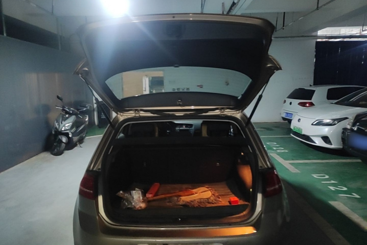 Volkswagen Golf 2016 car image #19