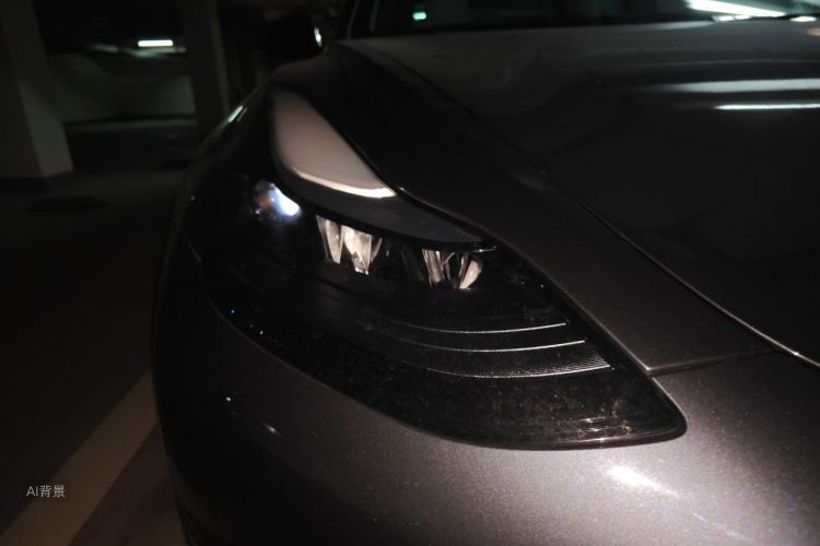 Tesla Model 3 2022 car image #8