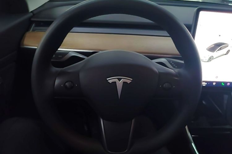 Tesla Model 3 2020 immagine di auto #11