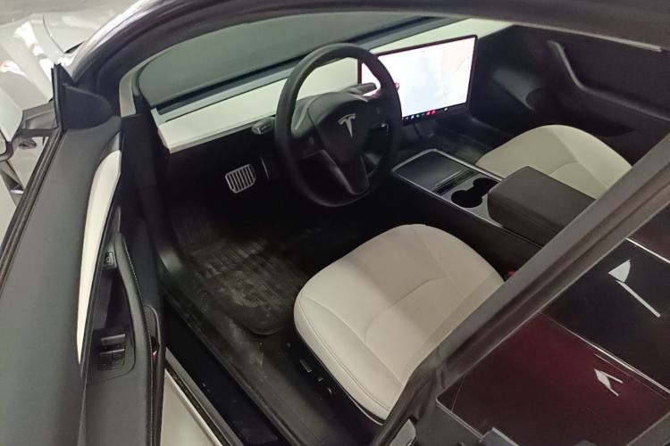 Tesla Model 3 2021 car image #16