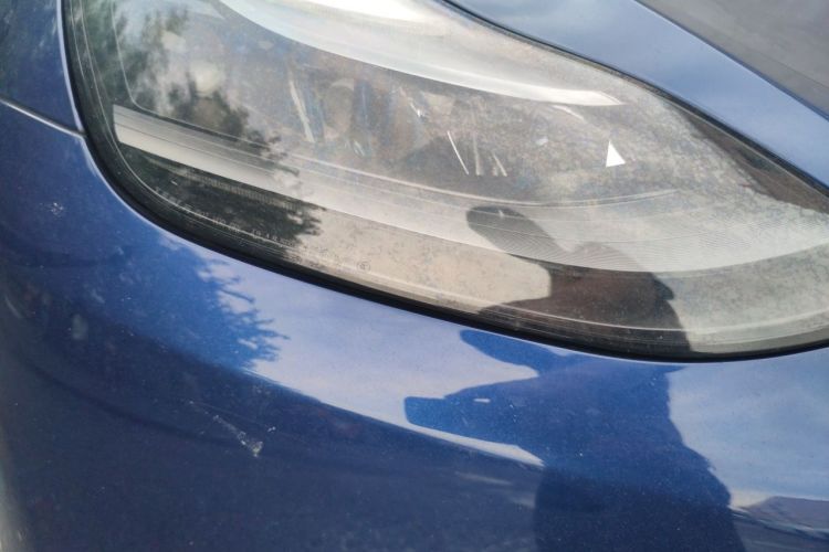 Tesla Model Y 2021 #8 Tesla Model Y 2021 car image #8